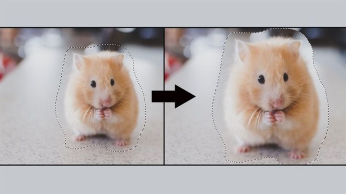 Chọn vùng trong Photoshop